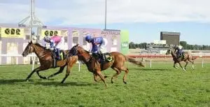 Fell Swoop