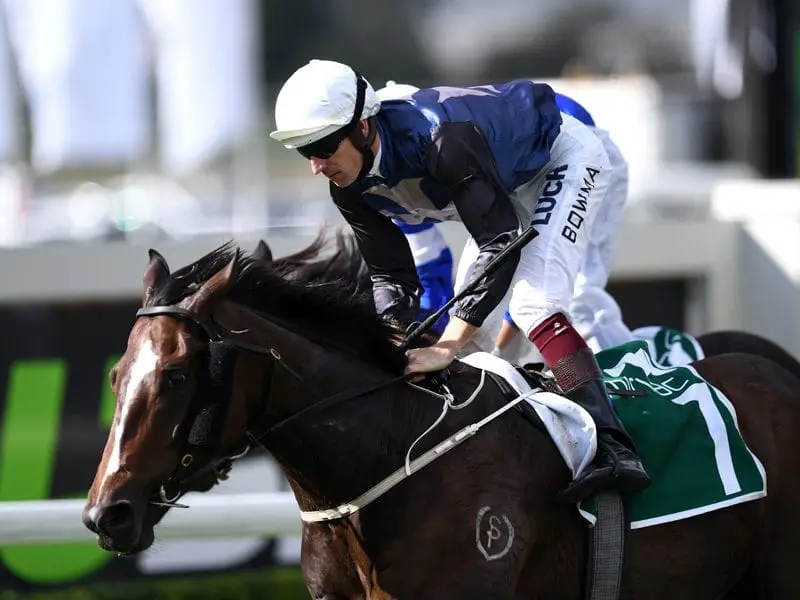 Trainer Jason Coyle is eyeing off Group One targets for Salsonic. Jockey Hugh Bowman rides Salsonic