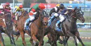 Petrology Petrology wins Travis Harrison Cup