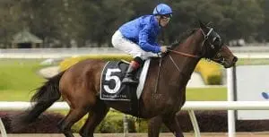 Alegria Alegria wins at Rosehill Gardens in 2015