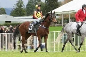 art deco Art Deco wins at Tauranga