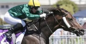 Benzini at Ellerslie NZ galloper Benzini