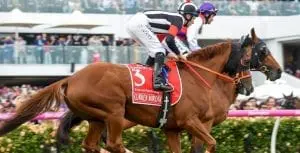 Tommy Berry aboard Curren Miotic (Racing.com) Tommy Berry and Curren Miotic at Melbourne Cup 2016