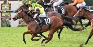 Bidii Babe Bidii Babe, trained by Robert Heathcote
