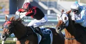 Tiffani Brooker on Dreams Aplenty Apprentice jockey Tiffani Brooker