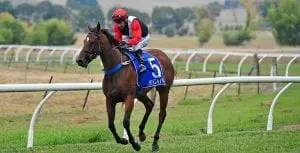 Daisy Doutes at Towong Racecourse Christopher Brown aboard Daisy Doutes