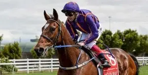 Frankie Dettori on Wicklow Brace at Flemington Italian superstar jockey Frankie Dettori