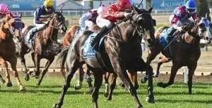 Greviste (Racing.com) Greviste wins at Moonee Valley