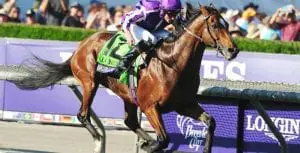 Highland Reel at the Breeders' Cup Irish horse Highland Reel