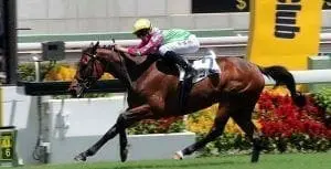 horse of fortune feature Horse Of Fortune