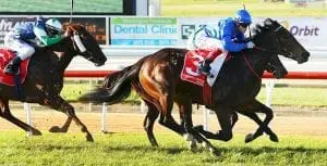 Kinshachi wins at Mornington (Racing.com) Godolphin horse Kinshachi