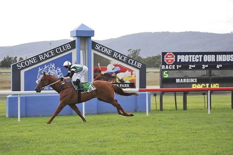 Mister Marmalade wins at Scone