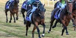 Mio Dio at Swan Hill (Racing.com) Mio Dio