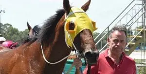 Simon Morrish with Tonteria at Kilmore (Racing.com) Victorian trainer Simon Morrish and horse Tonteria