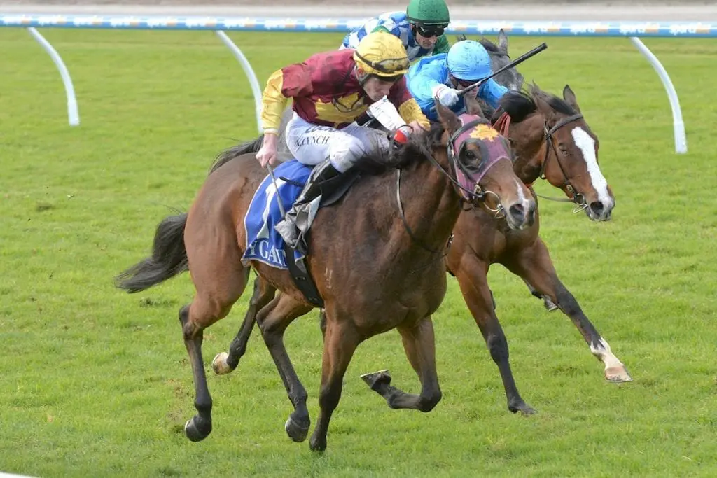 Miss Iano wins at Pakenham on may 31