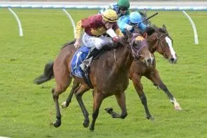 rh5 1395 Miss Iano wins at Pakenham on may 31