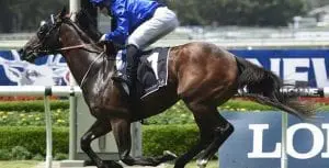 Tessera wins Canonbury Stakes (Bradley Photographers) Tessera at Rosehill Gardens