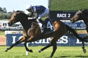 Insensata Insensata wins again at Rosehill
