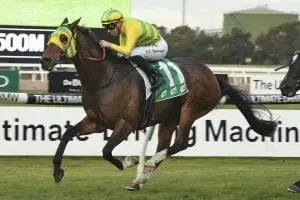 Hunter Jack Hippo gracious following first city treble