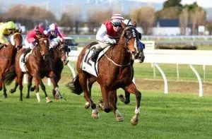 Awapuni-racing Awapuni Racing