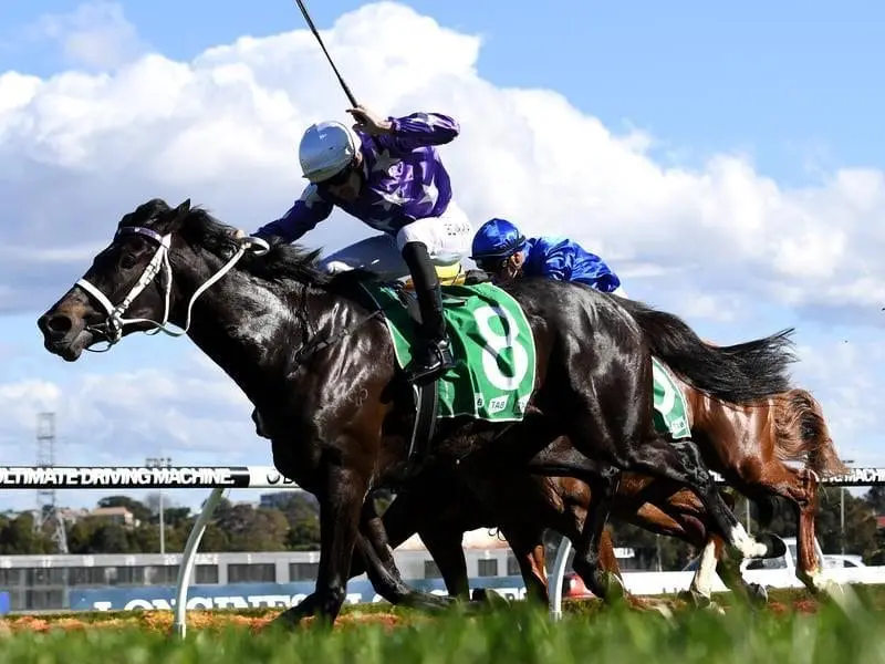 Calculated, a son of So You Think, has responded under pressure to win his first race at Canterbury. Jockey Hugh Bowman (left) rides Calculated to victory at Canterbury