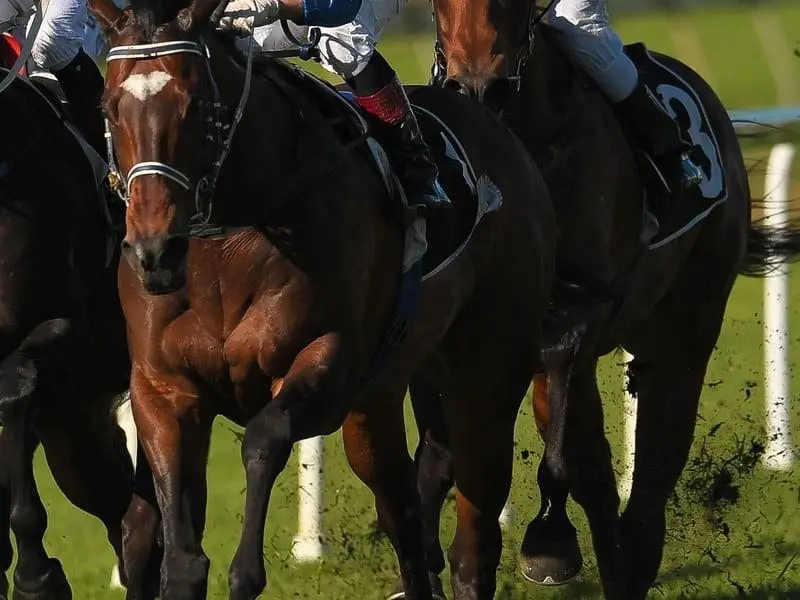 Jockey Jeff Lloyd rides Irish Constabulary