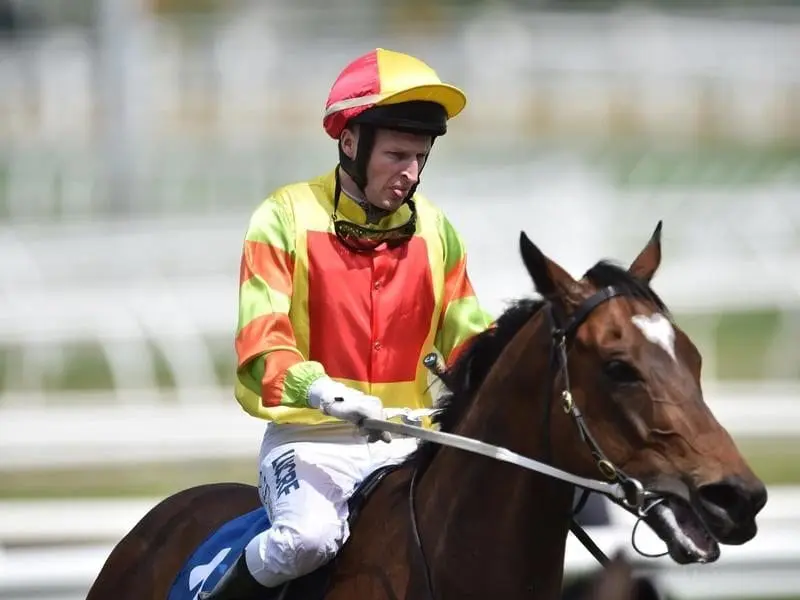 Craig Newitt on Lankan Rupee during Caulfield Guineas Day