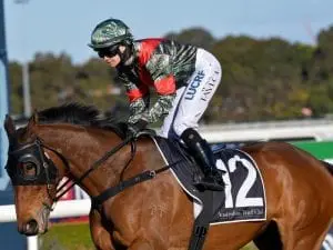 Sweet Winter win for Coyle and Taylor Sweet Winter win for Coyle and Taylor