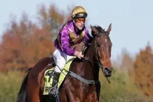 Sea King Kiwi Jumps king Australian bound