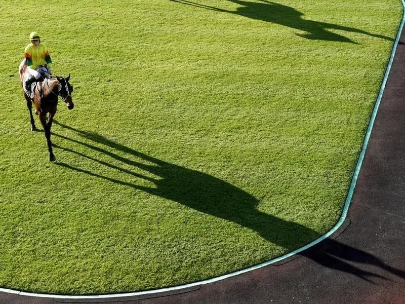 Suspension-plagued apprentice Blaike McDougall celebrated a morale-boosting victory at Warwick Farm. Jockey Blaike McDougall riding Akasaki.