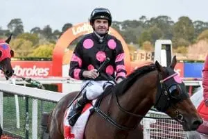 Dwayne Dunn (Racing.com) Jockey Dwayne Dunn at Ladbrokes Handicap