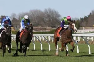 getty horse Getty wins at Te Rapa