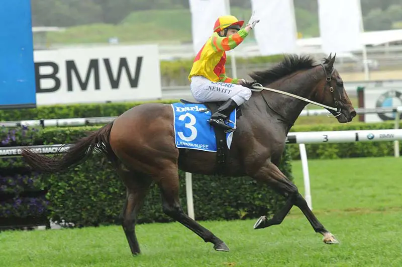 Lankan Rupee wins TJ Smith Stakes