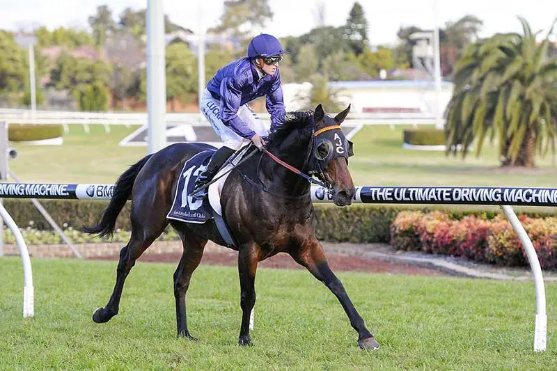 Life O'Brien at Canterbury Park