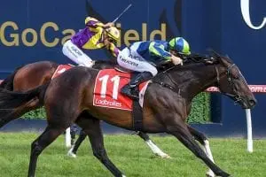 Miss Gunpowder beats home Boomwaa