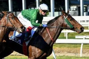 Orient Line Williams wins on Orient Line at Caulfield