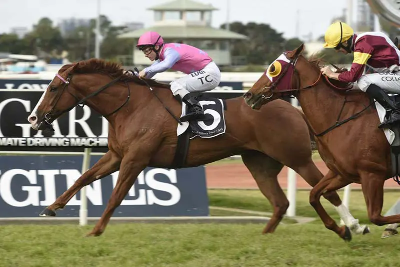 Oxford Poet at Rosehill