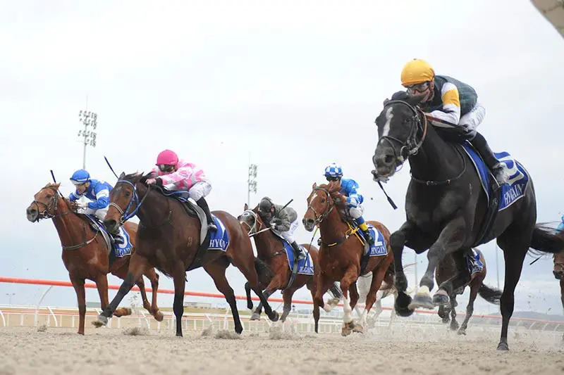 Pakenham meet moved for track repairs