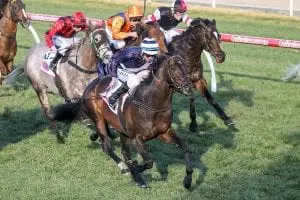 ps85554 Supido resumes with Monash Stakes win