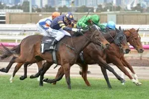 rh7 8231 Neil Werrett appointed to VRC Board