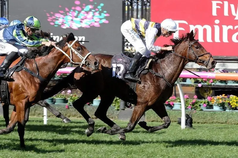 Aloisia wins at Flemington