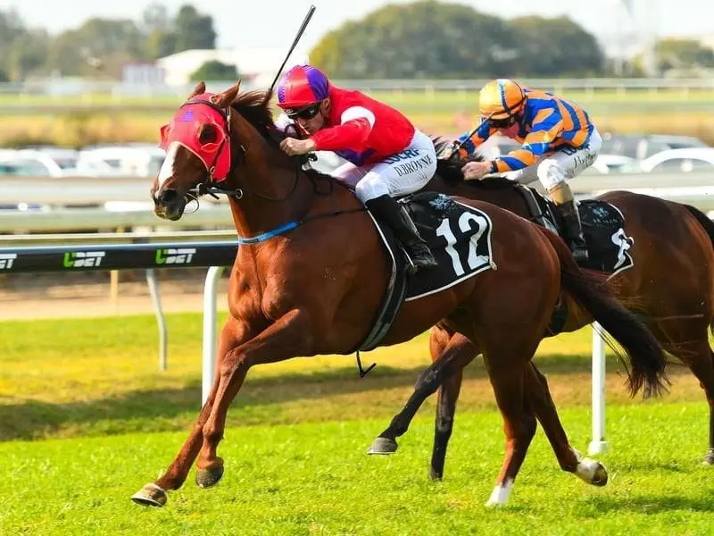 Jockey Damian Browne was rewarded for a week of dieting when Oink won the Class 6 Plate. Jockey Damian Browne rides Oink to win race 6