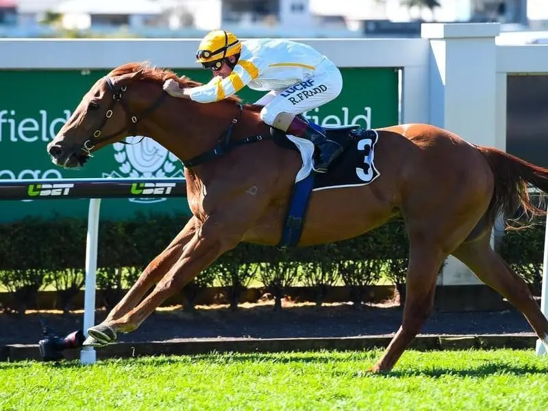 Frespanol makes an emphatic return to winning form at Doomben. Fresnapol