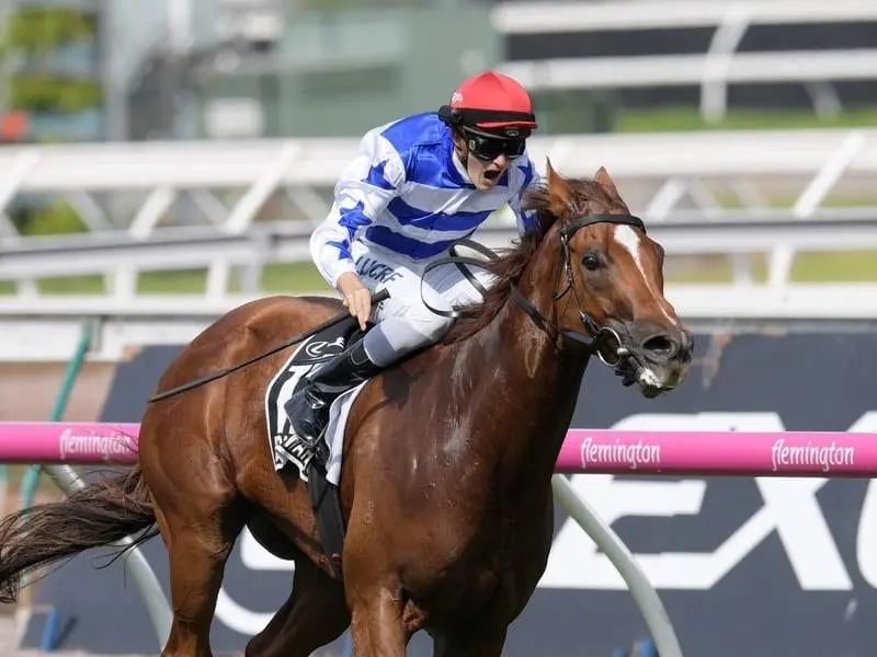 Lindsay Park has trialled some of its big guns including Everest candidate Redkirk Warrior (R). Everest candidate Redkirk Warrior