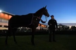 Winx after trackwork