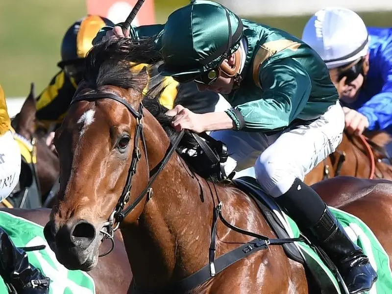 Dracarys has posted a track record in winning the Up And Coming Stakes at Randwick. Dracarys