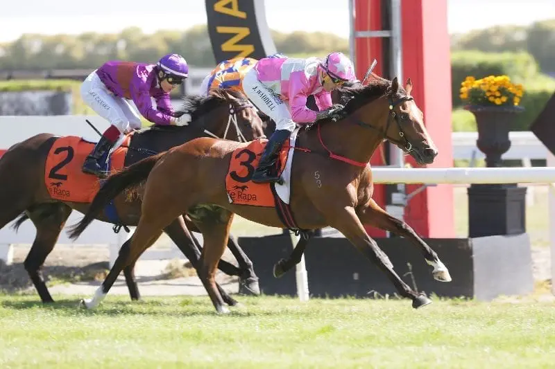 Logan runners at Te Rapa