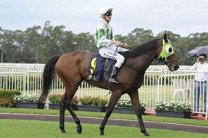 War Jet Blake Shinn and War Jet