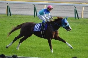 Admire Deus at the Tenno Sho