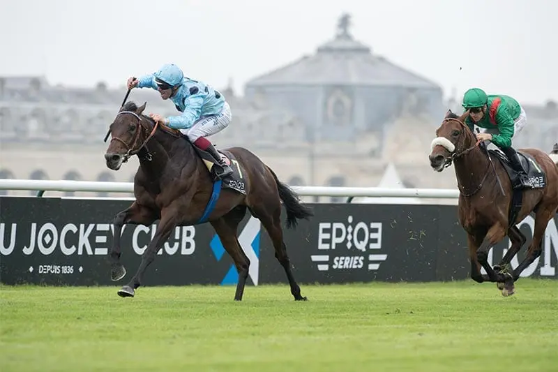 Almanzor Champion European horse Almanzor